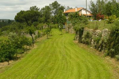 Farm/Ranch For sale or rent in Tabua, Coimbra, Portugal - Vila Nova de Oliveirinha